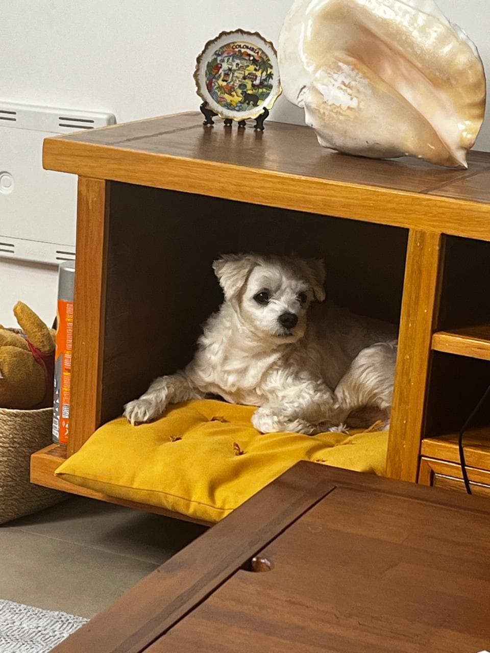 Rack para sala - Imagem 5